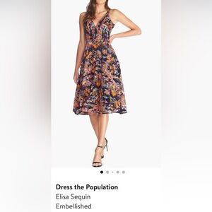 Dress the Population Elisa Multicolor Floral A-Line Skirt